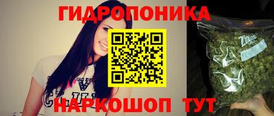 крисы Кулебаки