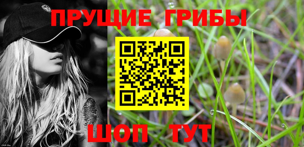 Псилоцибиновые грибы MAGIC MUSHROOMS  купить   Вход с VPN  Выкса  Галлюциногенные грибы прущие грибы 
