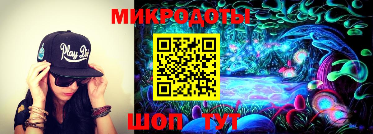 Галлюциногенные грибы Psilocybe Выкса