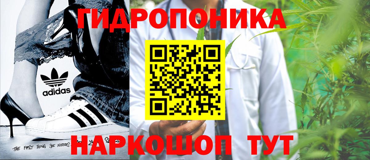 A PVP Выкса